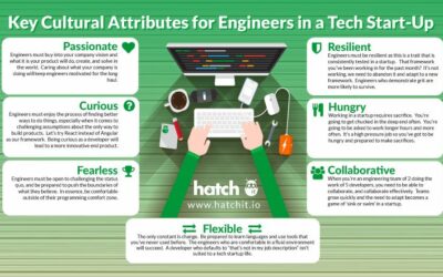Key Cultural Attributes for Engineers in a Tech Start-Up